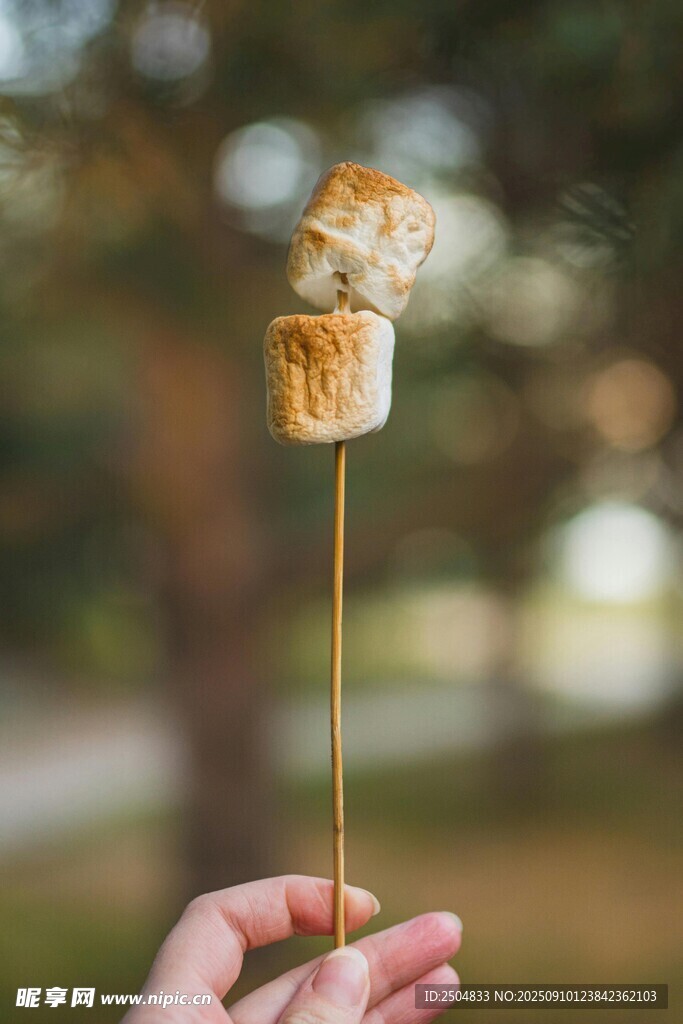 手持烤棉花糖