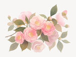 花卉插画