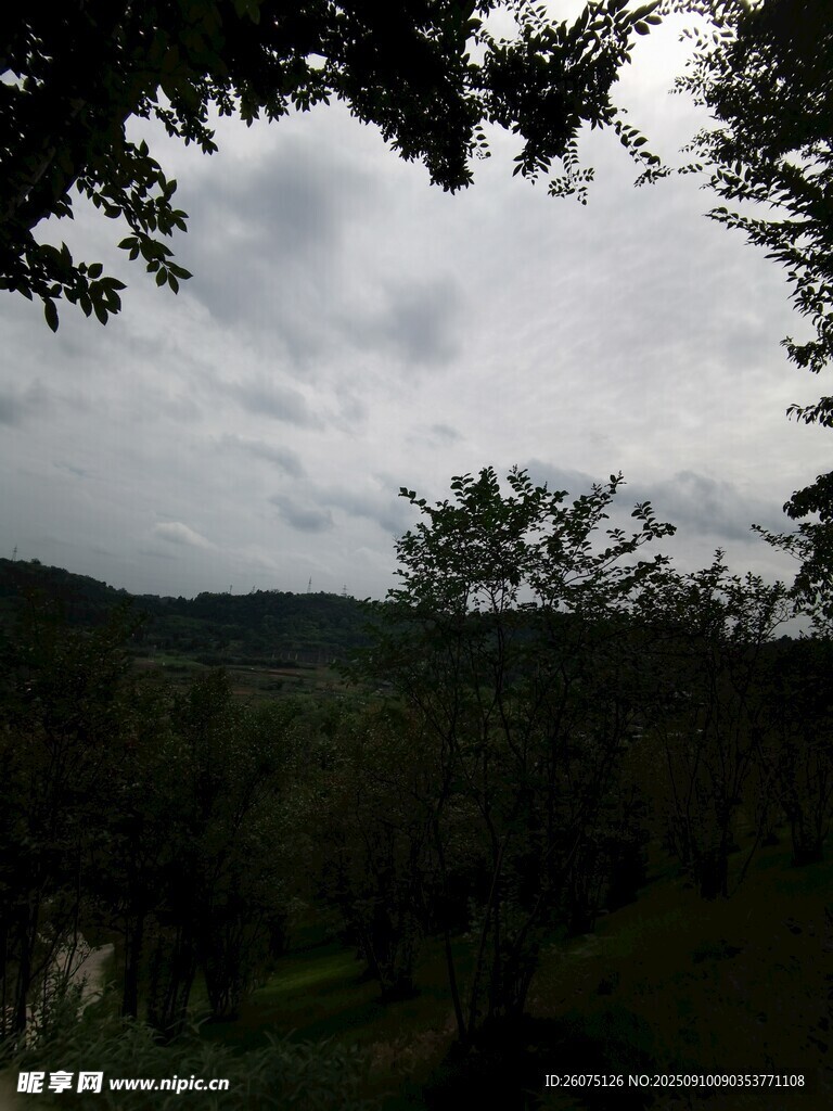 山林间的阴天景致