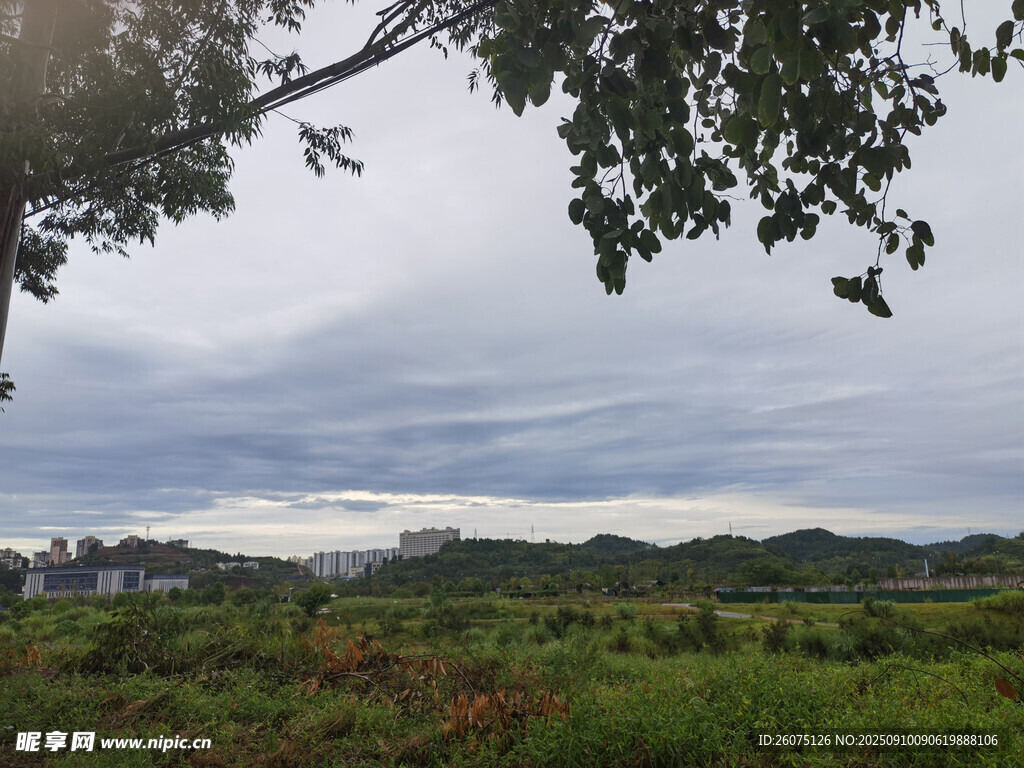 田野风光绿意盎然的景致