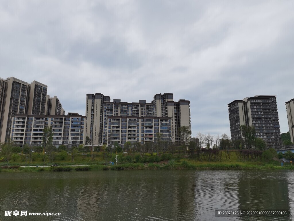 湖畔高楼林立的城市景致
