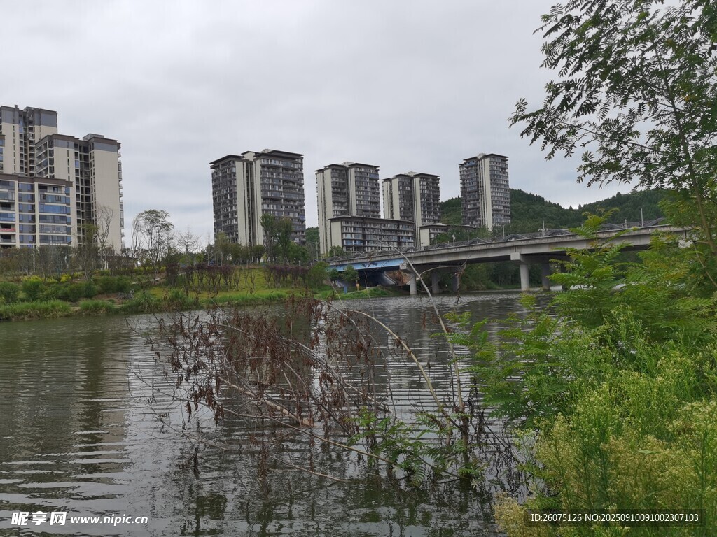 河畔高楼与绿植景观