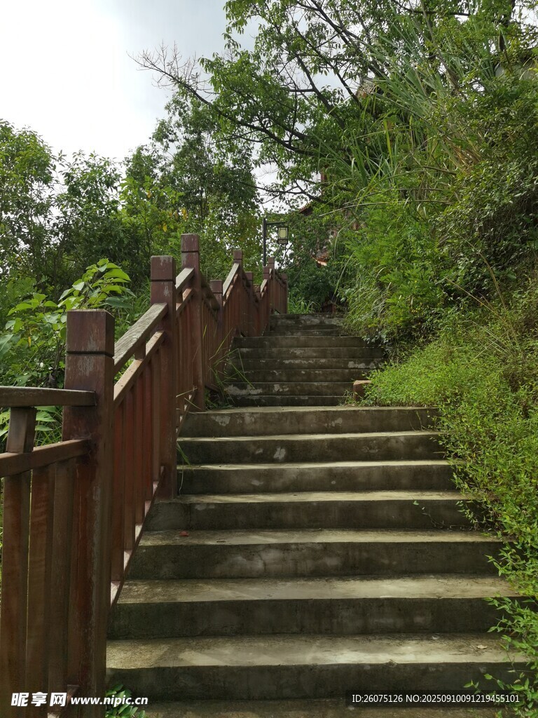 山间石阶通往自然之径