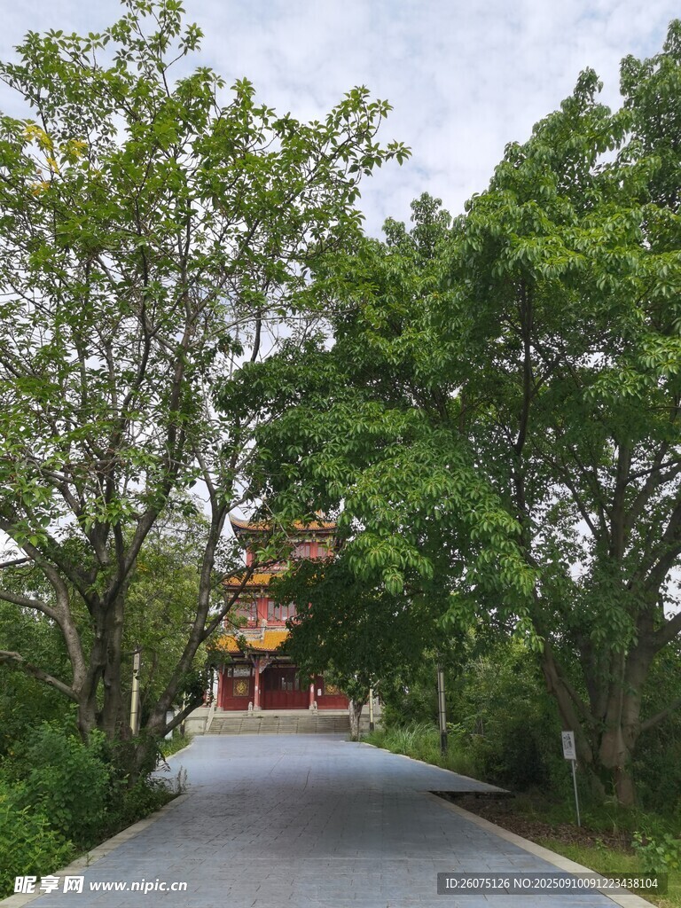 林间公路通向古朴建筑