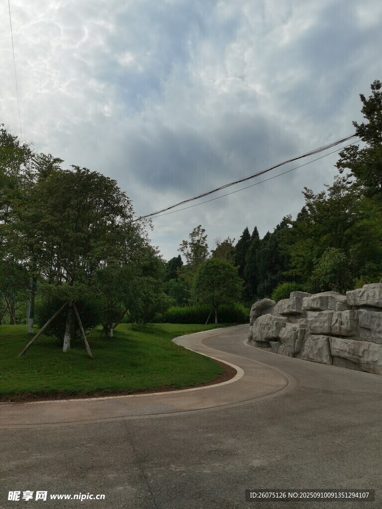 蜿蜒小路旁的自然景致