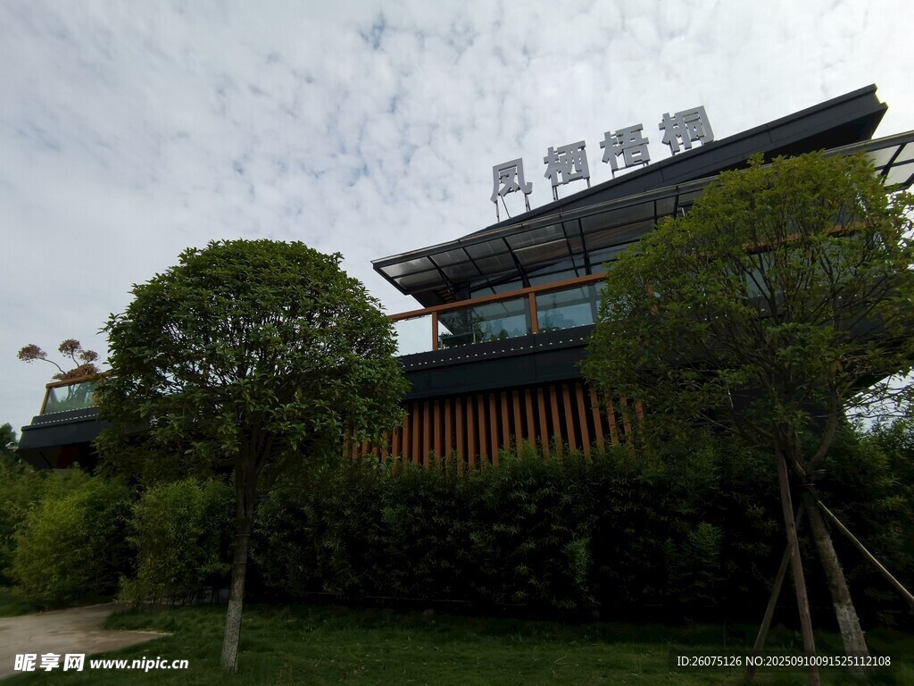 中式古建筑绿树环绕