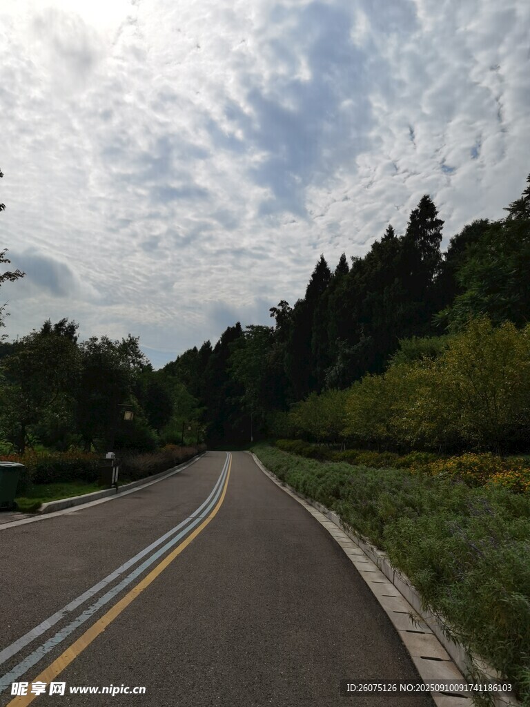 蜿蜒公路穿行于山林之间