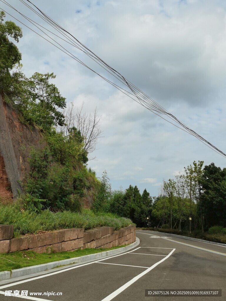 蜿蜒公路旁的葱郁景致