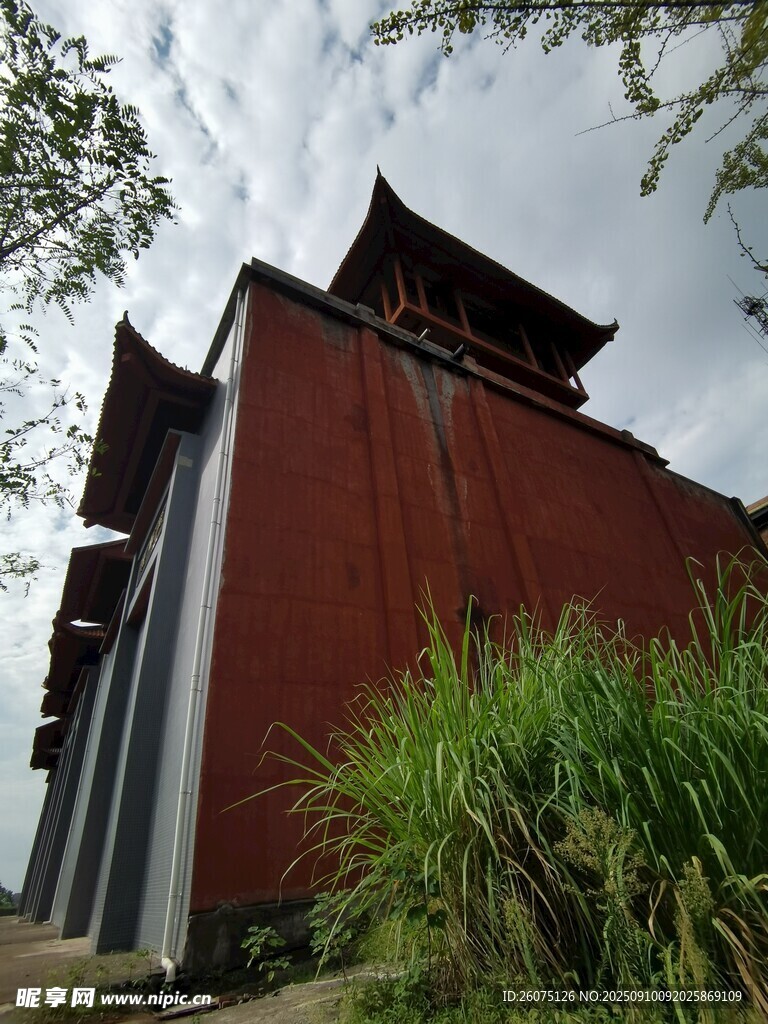 古建红墙旁的葱郁草木