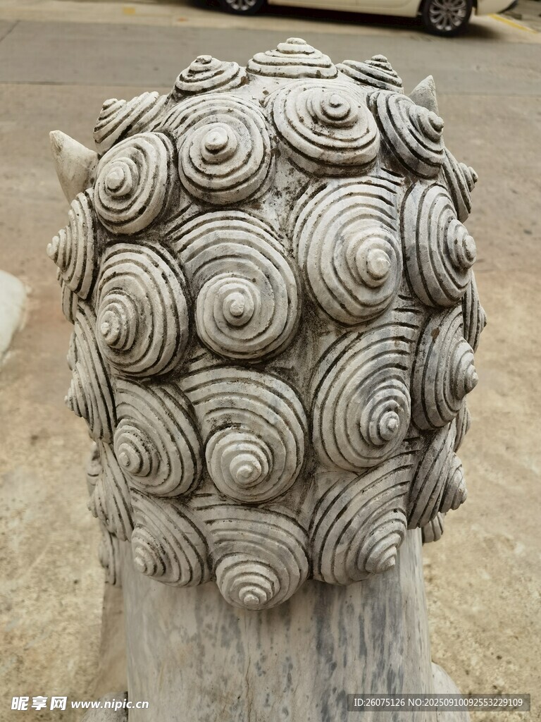 石狮子头部特写