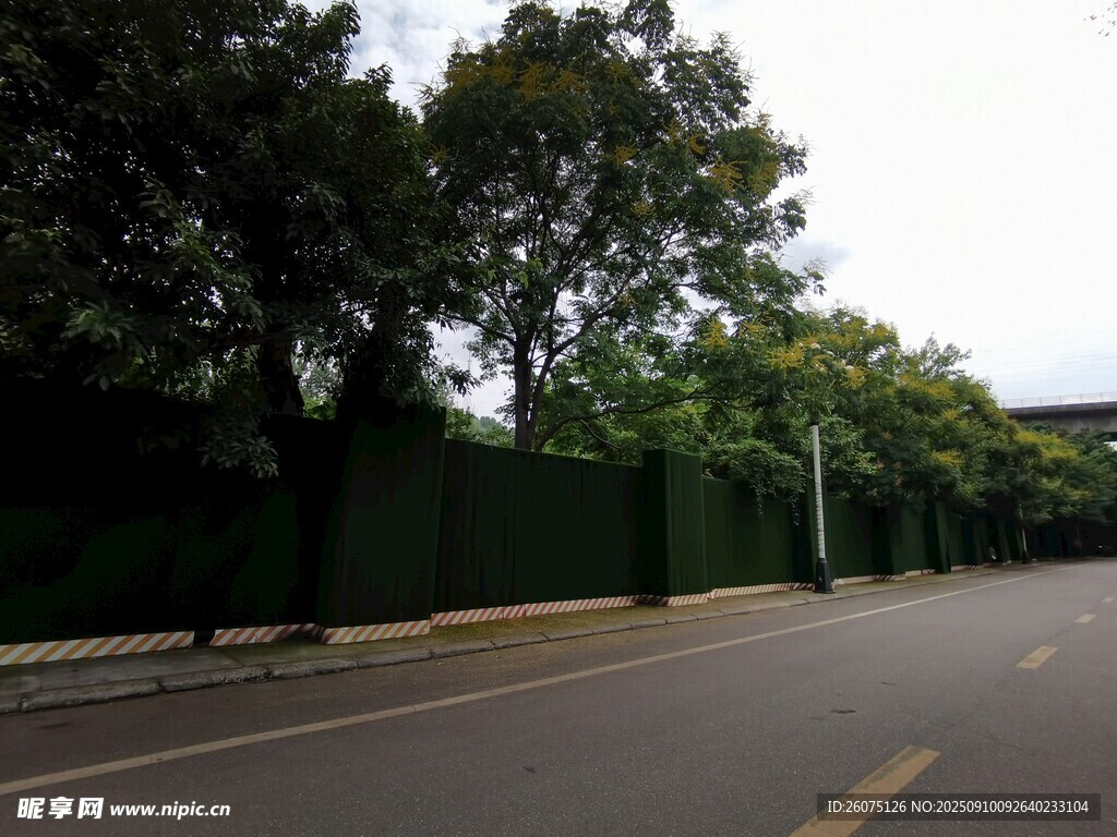 道路旁绿树环绕的场景