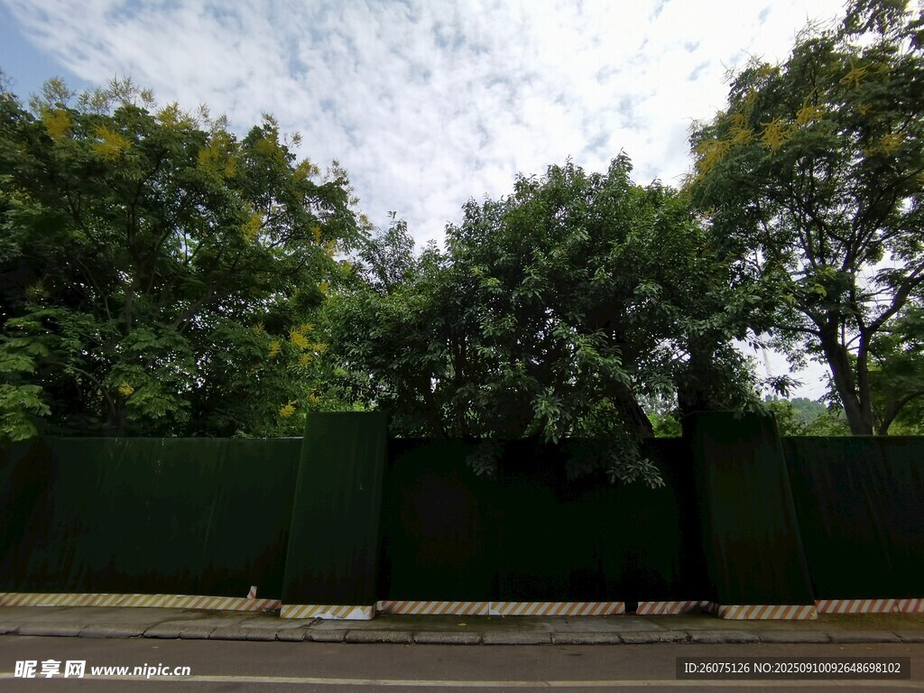 路边绿树与围栏景观