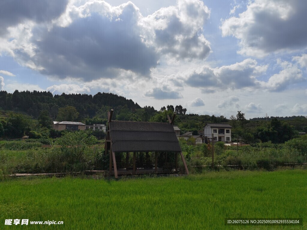 乡村绿野中的古朴小屋