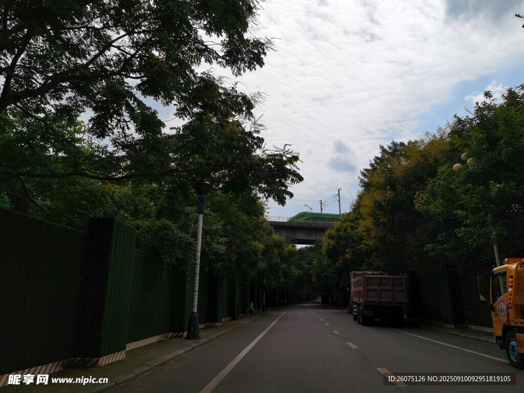 林荫道路上的货车与风景