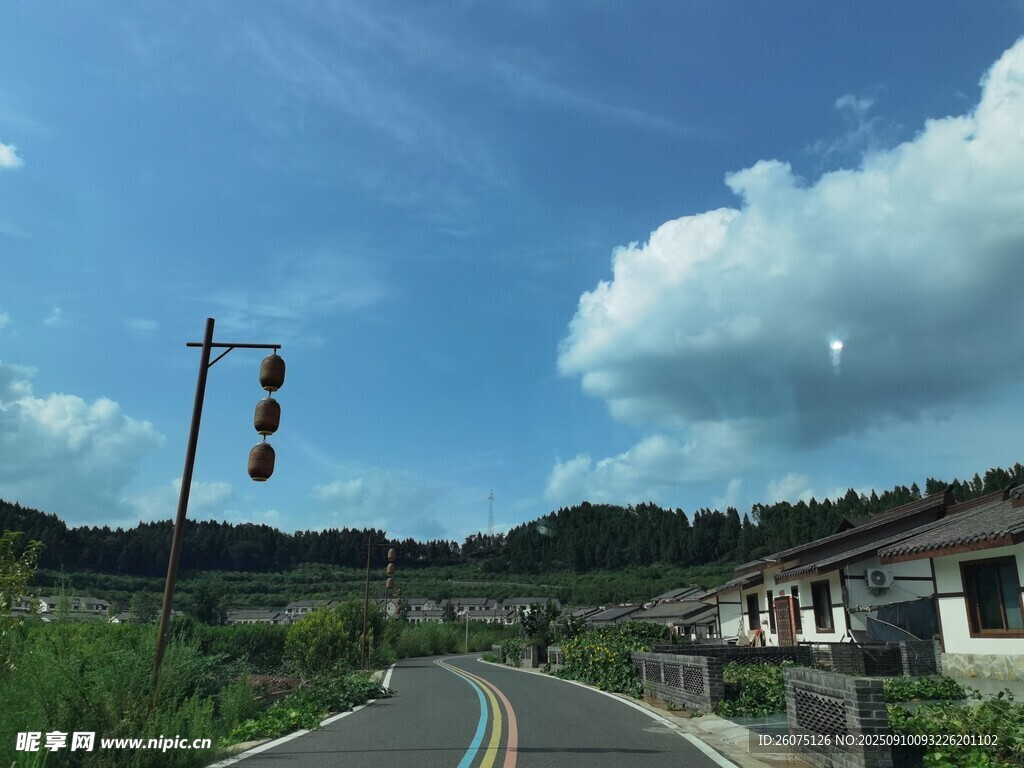 乡村公路边的交通信号灯