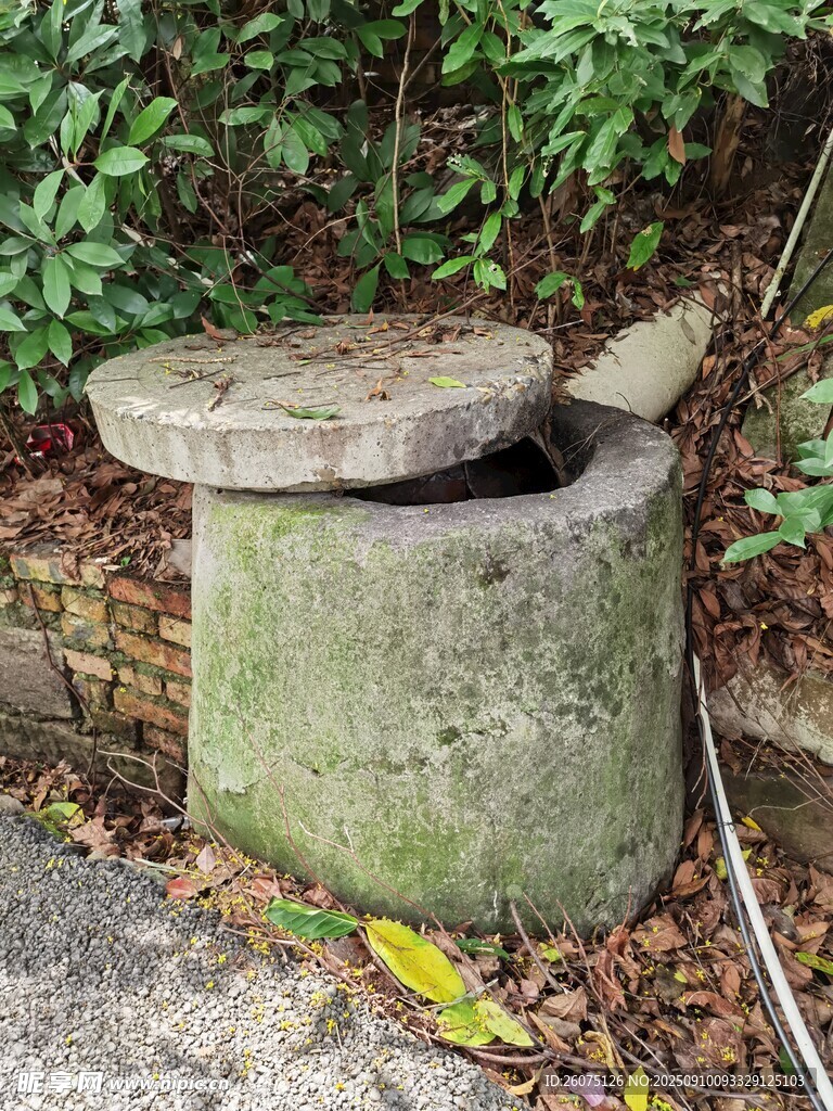 老式石磨置于绿植环绕处