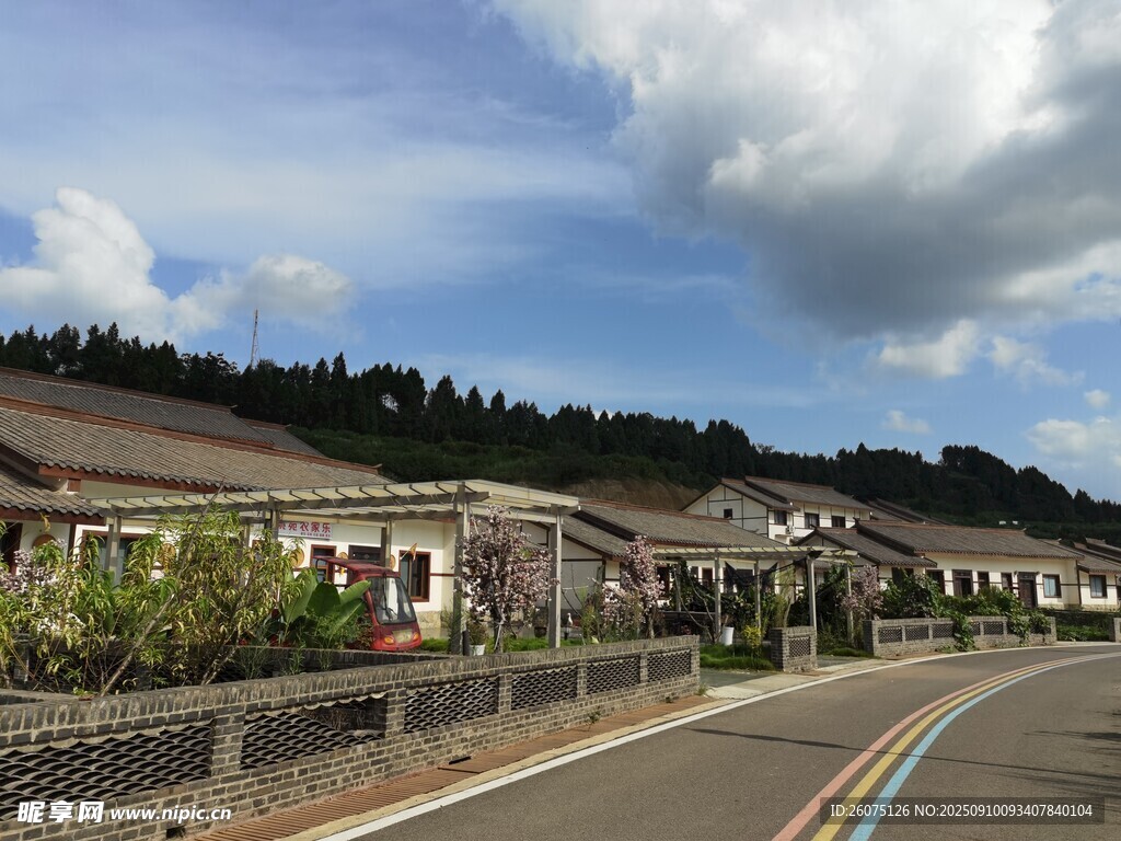 乡村公路旁的宁静民居