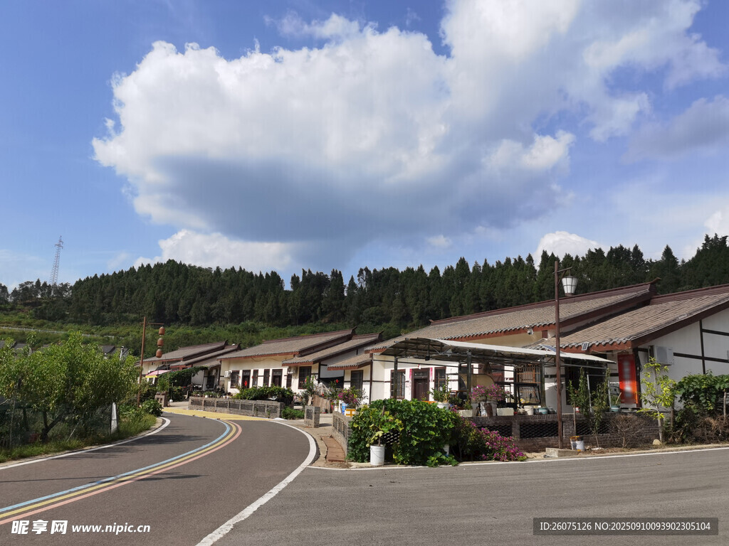 乡村路旁的宁静建筑群