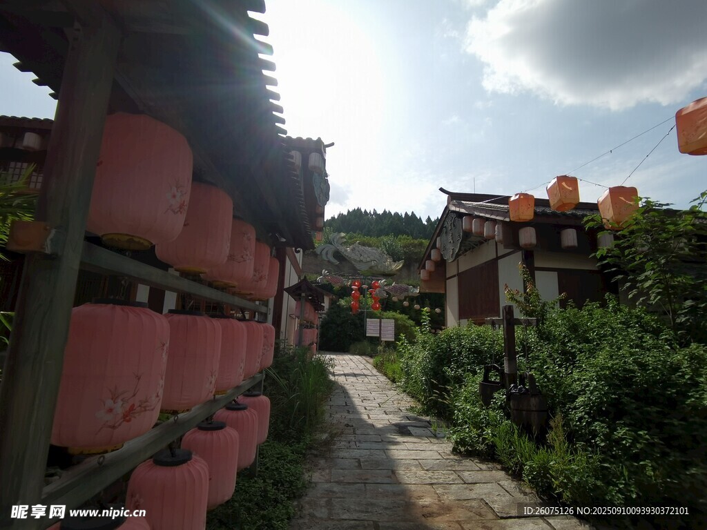 古巷风光传统建筑与绿植