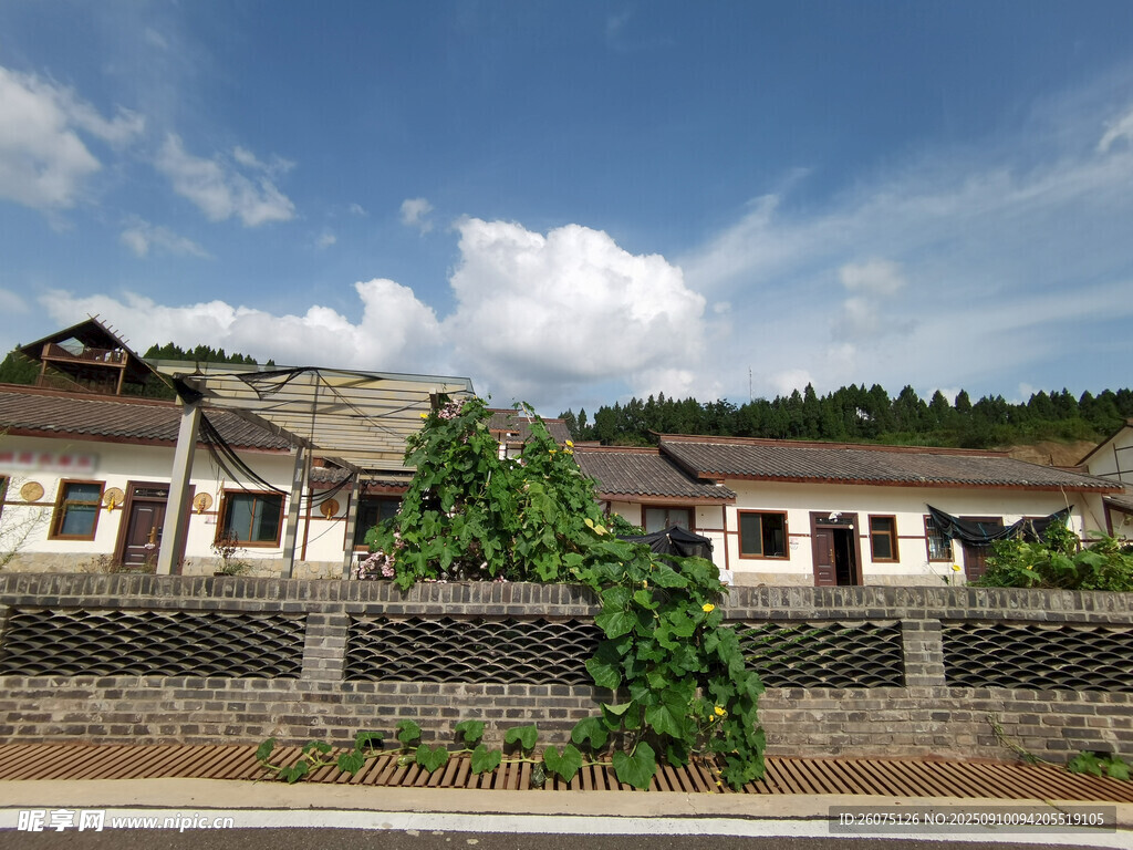 乡村庭院风景