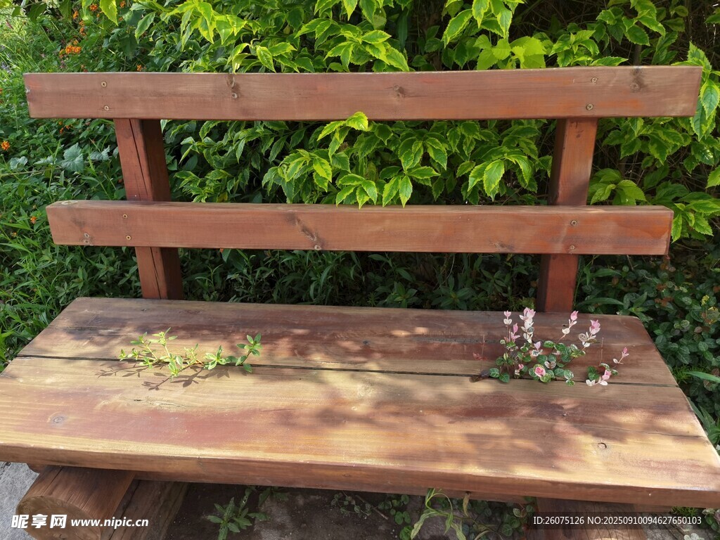 户外木质长椅绿植相伴