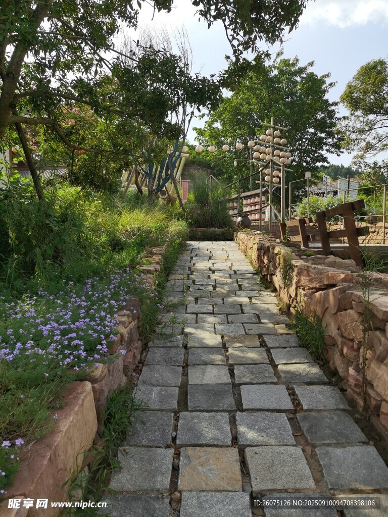 林间石径自然静谧之景