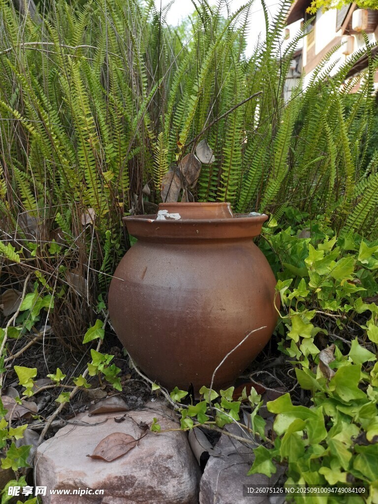 陶制花盆置于绿植石块间