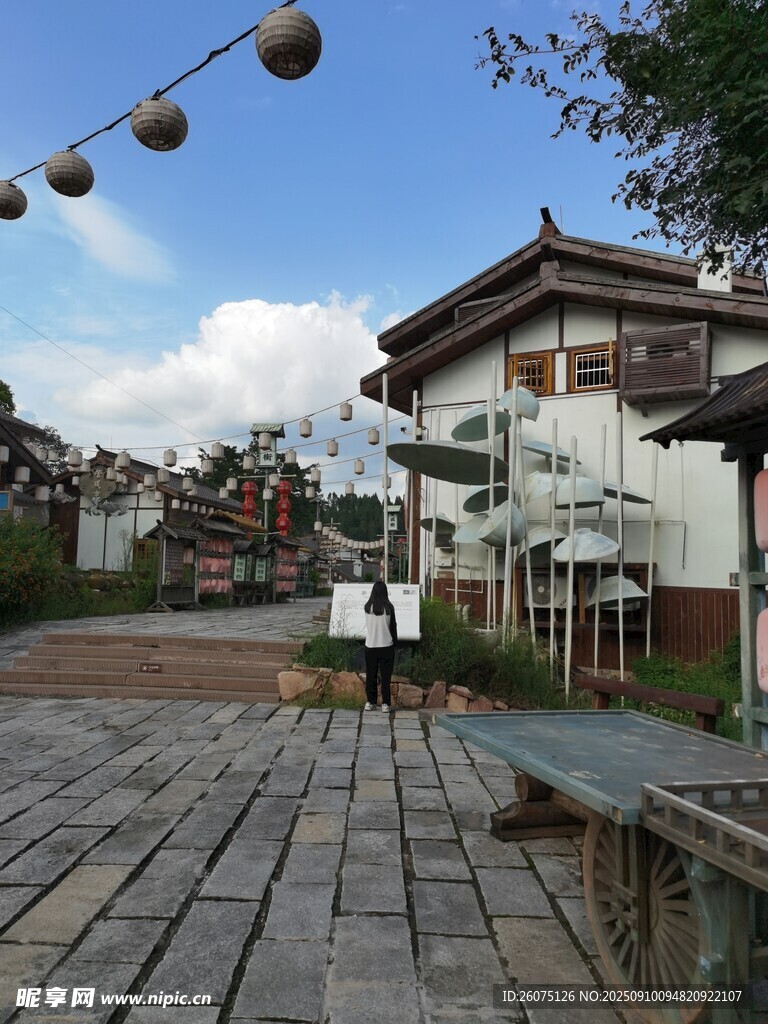 古雅庭院景致