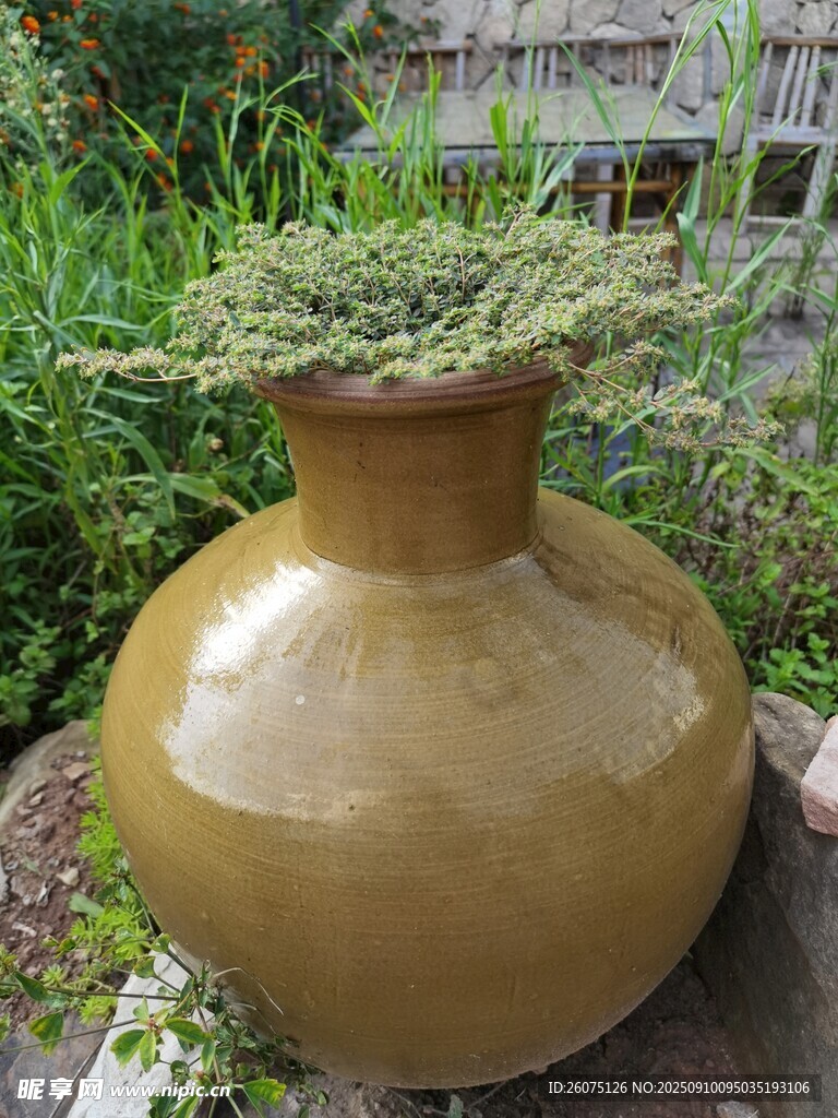 户外陶制花盆装点绿植