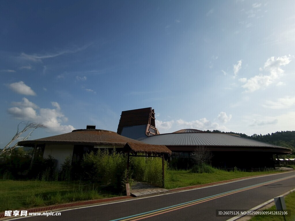 乡村公路旁的低矮建筑