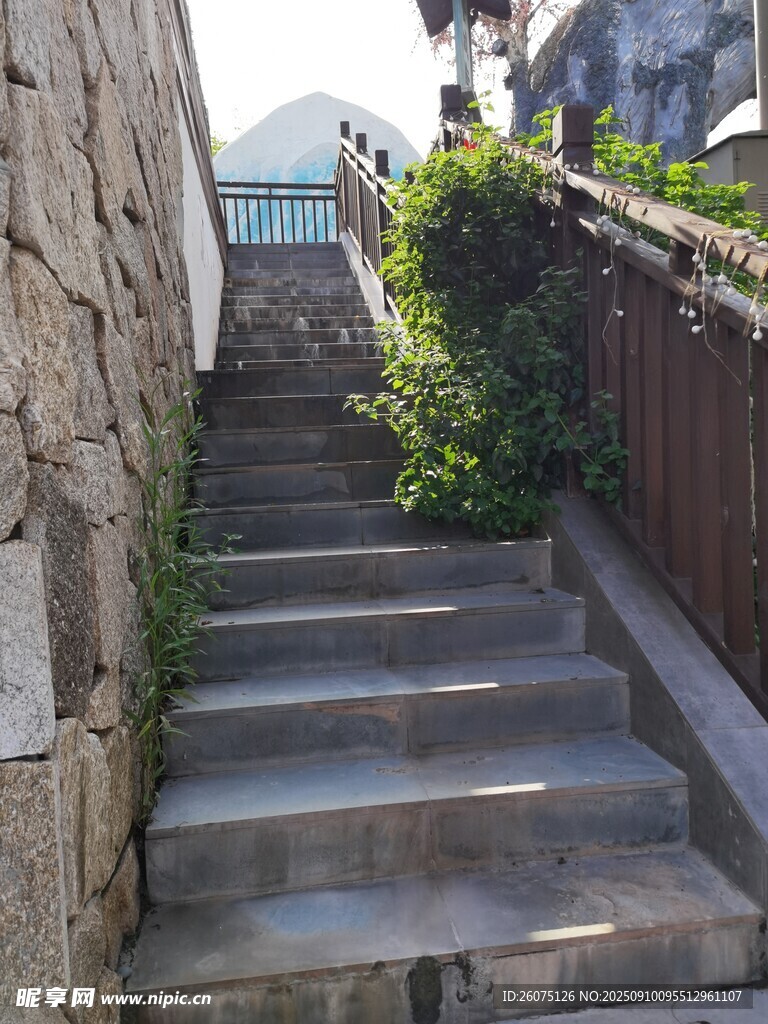石砌台阶旁的绿植景致