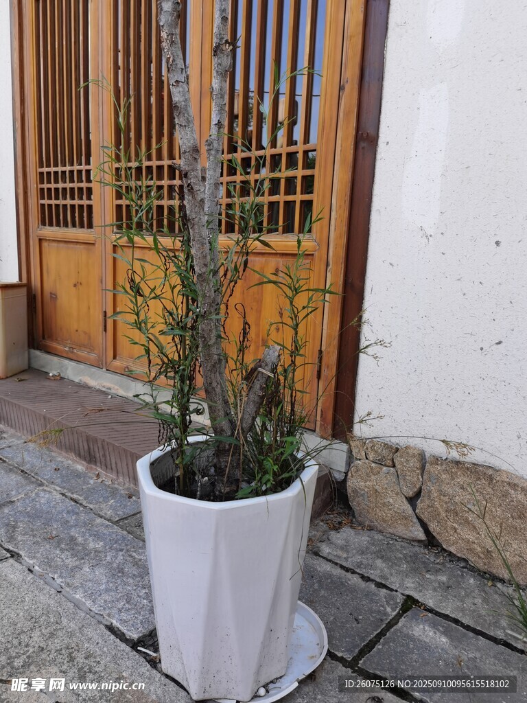 盆栽绿植置于古朴门前