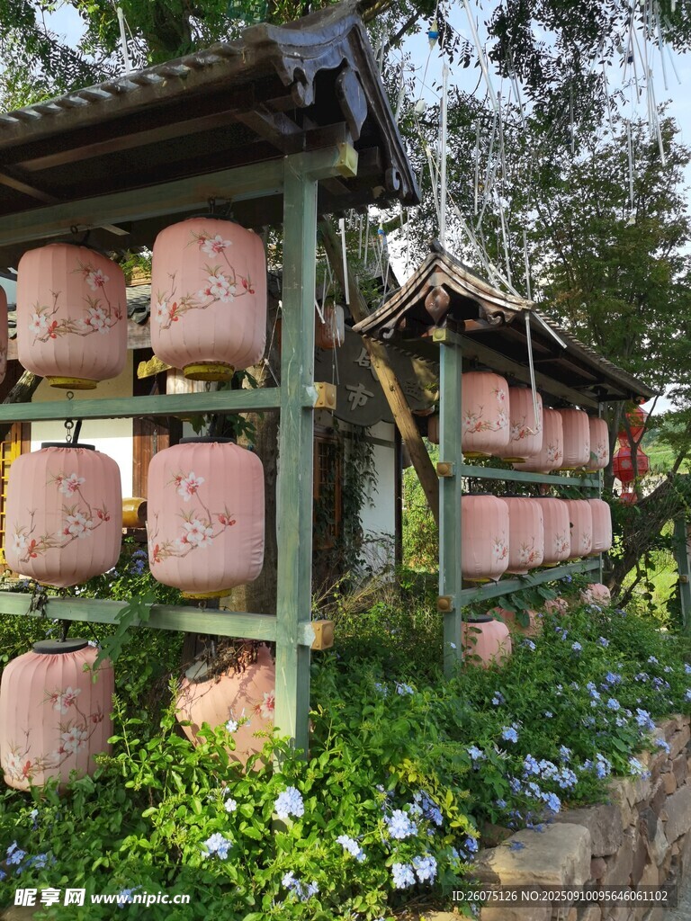 户外粉色灯笼展示架与绿植景观