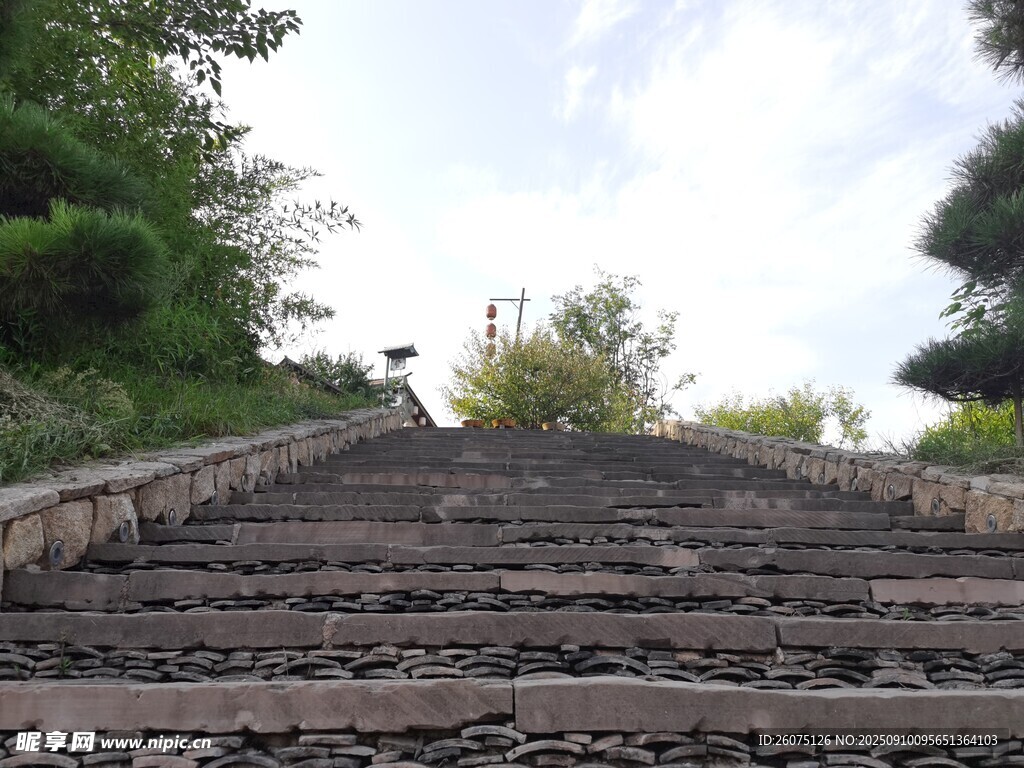 蜿蜒石阶通向绿意山林
