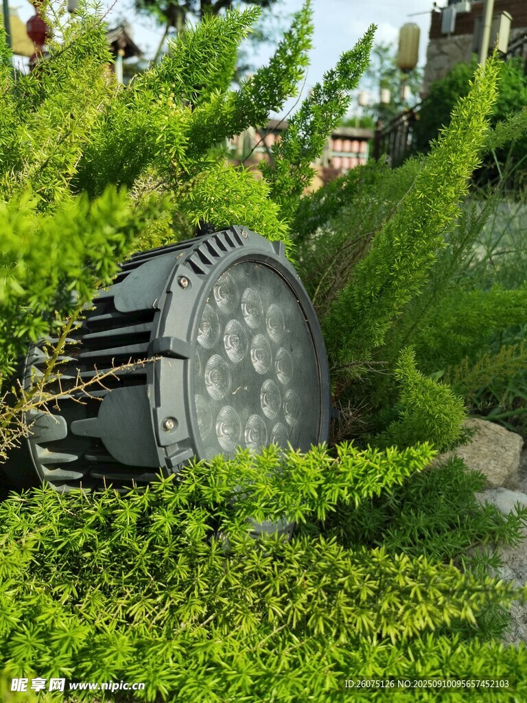 被绿植环绕的灯光设施