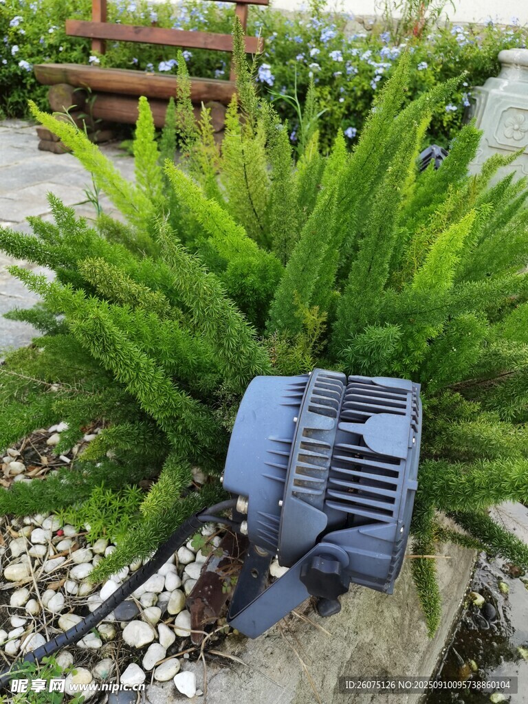 花园中的蓝色机器设备