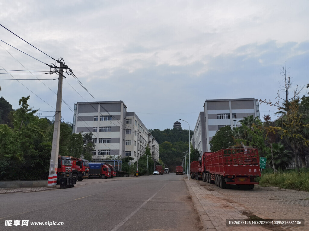 乡村道路旁的建筑与车辆