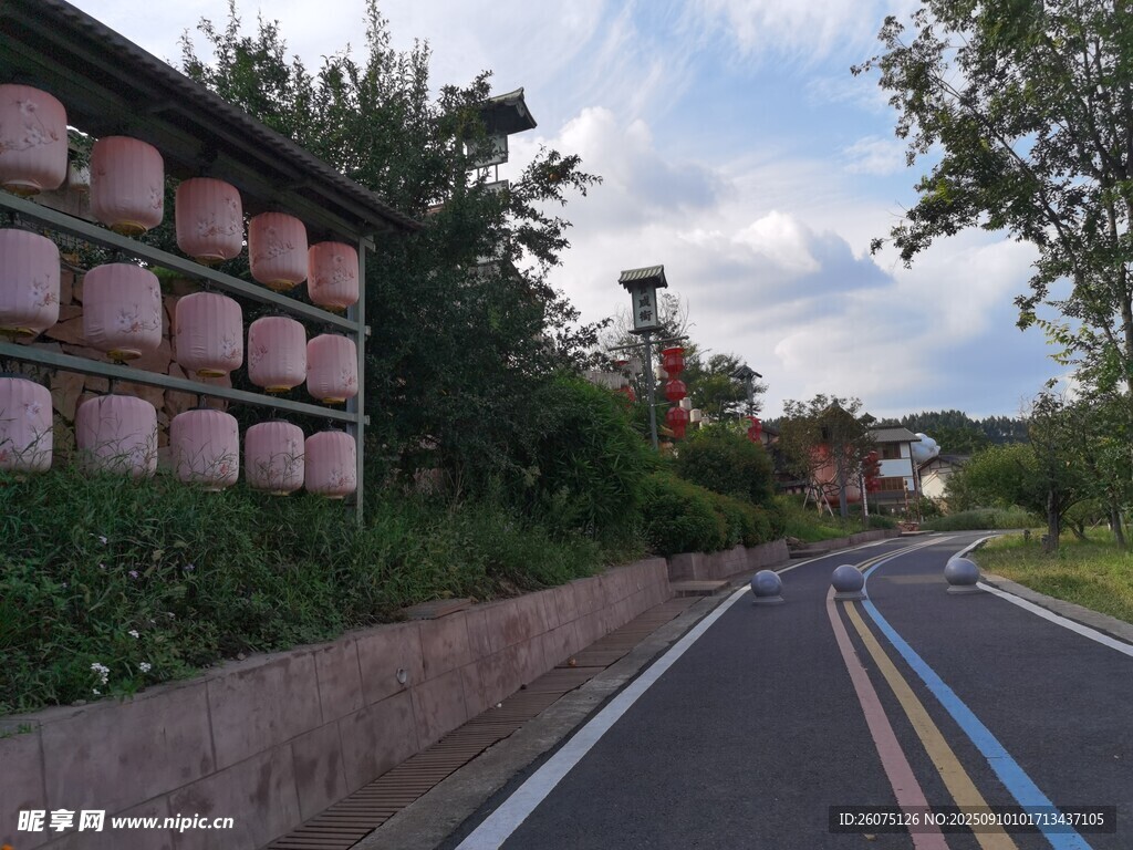乡村彩色道路旁的酒桶景观
