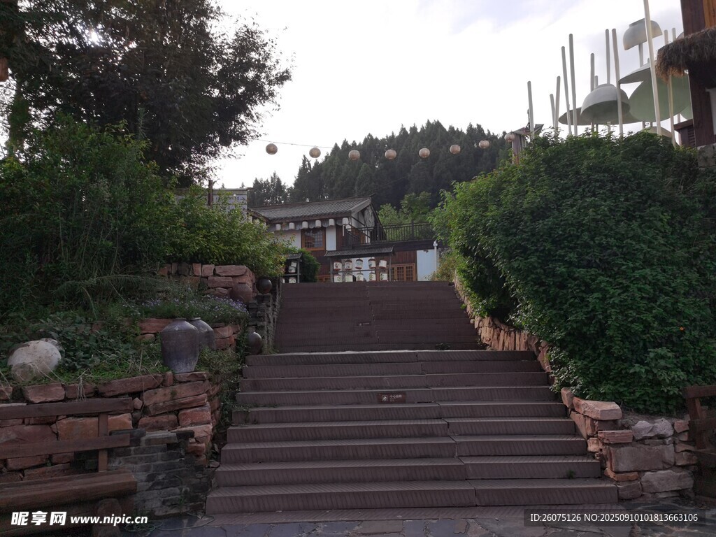 山间石阶旁绿植环绕景致