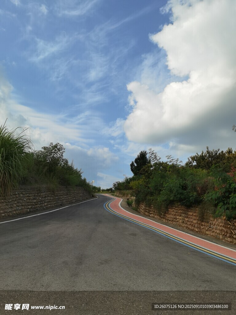 宽阔公路旁的绿意与蓝天