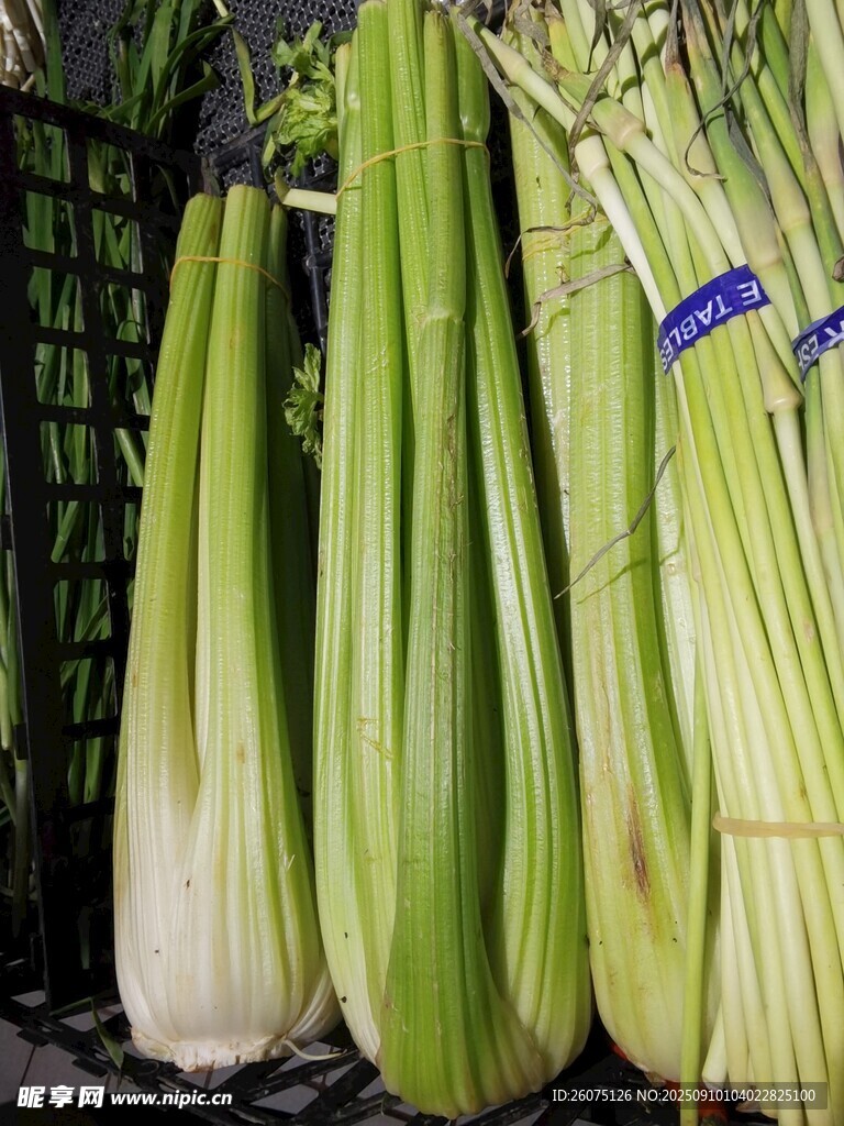 新鲜茭白整齐摆放