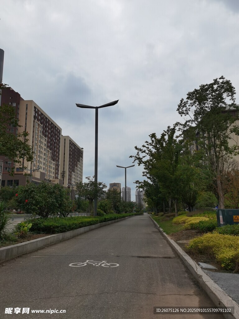 城市中的宁静林荫道路