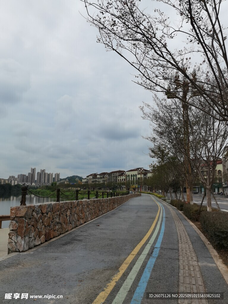 郊外彩色标线的宁静道路