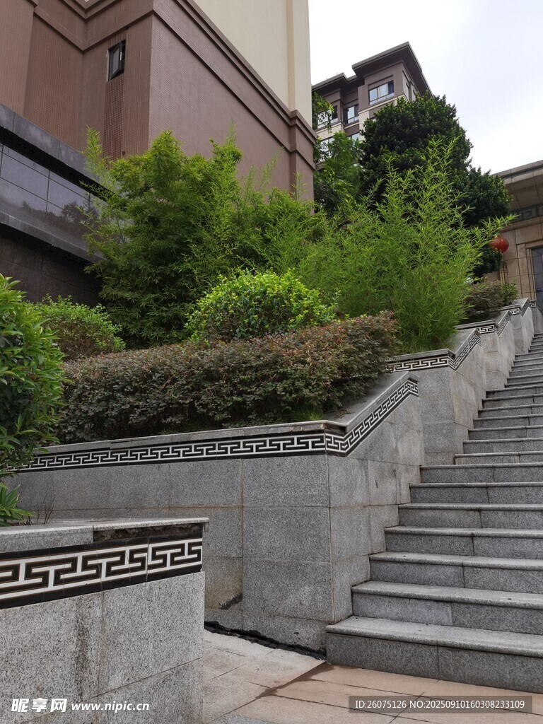 中式庭院石阶绿植景观