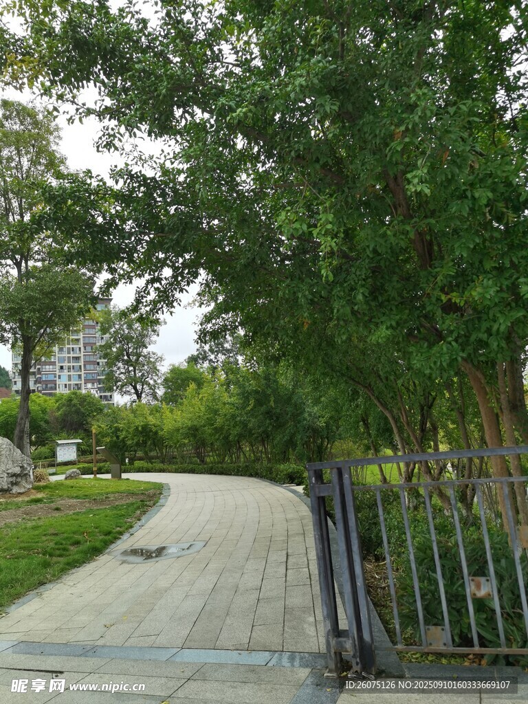 林荫小道旁的铁艺围栏