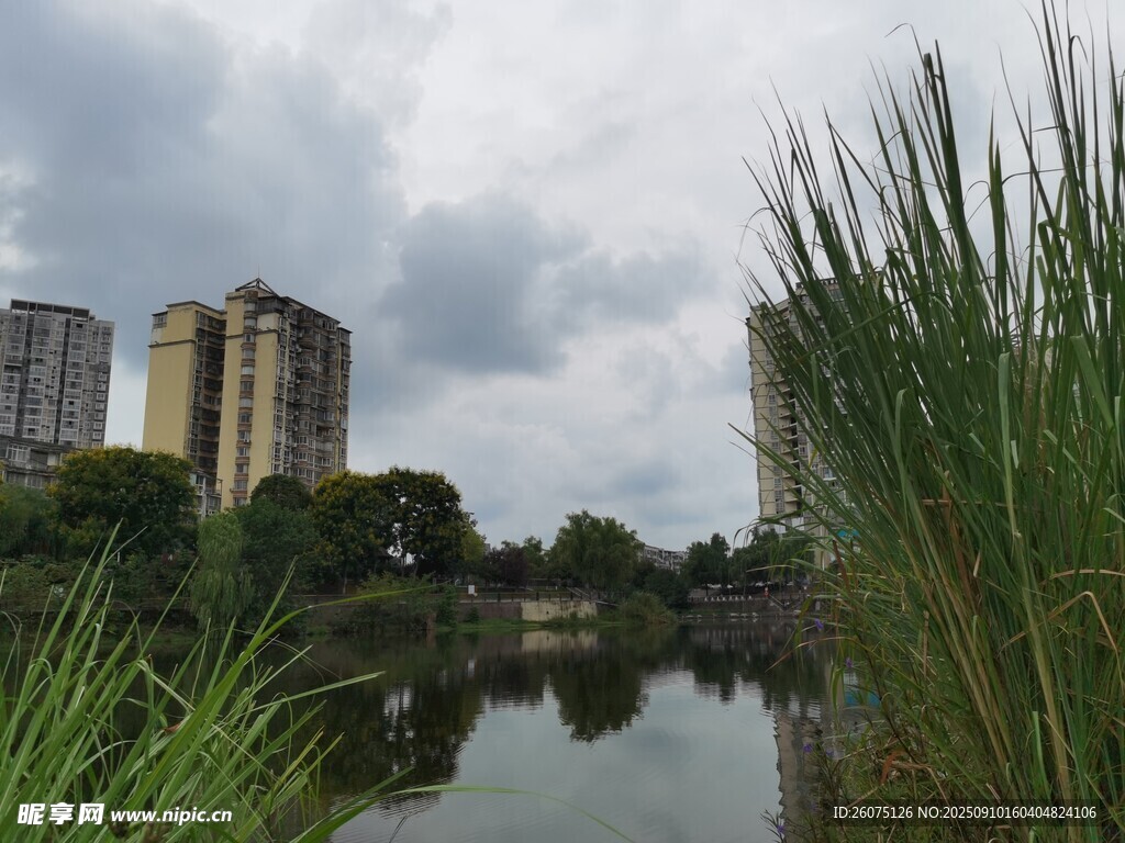城市河畔风景