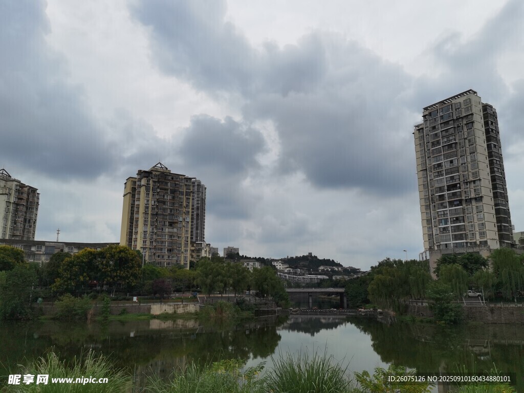 河畔高楼与繁茂绿植景观