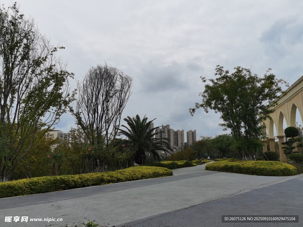 城市中的宁静林荫道路