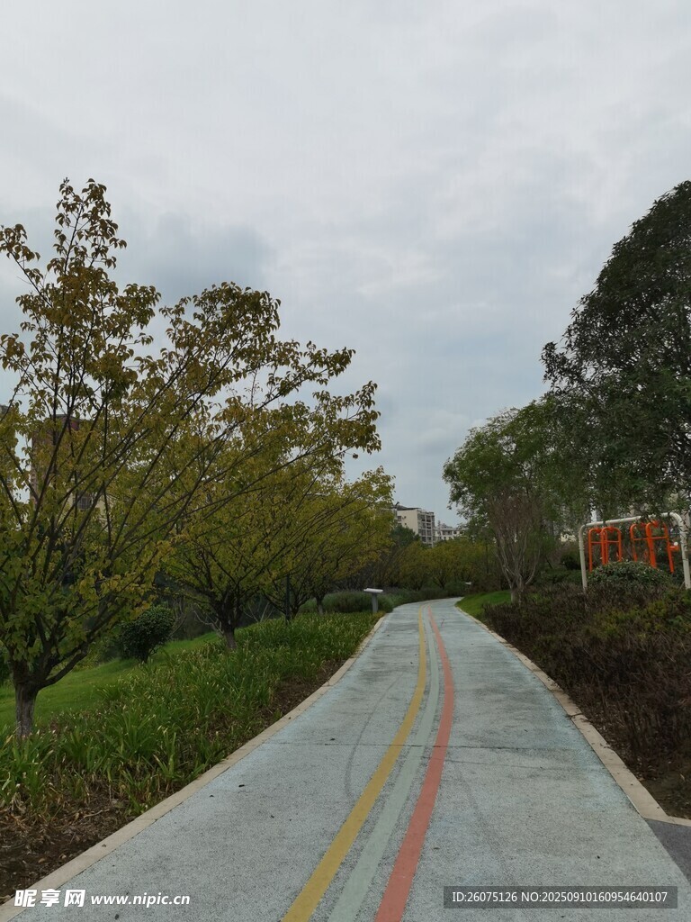 乡村林间的彩色骑行道路