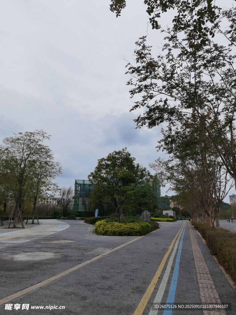 城市空旷道路与绿化景观